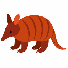vector illustration of a cartoon armadillo