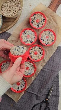 DIY Winter, Vogelfutter selber machen, Dekoration im Winter basteln, V&ouml;gel f&uuml;ttern