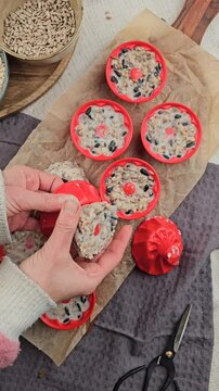 DIY Winter, Vogelfutter selber machen, Dekoration im Winter basteln, V&ouml;gel f&uuml;ttern