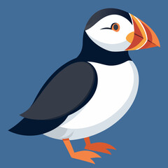 penguin on the beach atlantic puffin