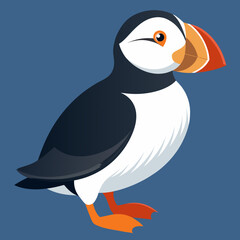 penguin on a branch atlantic puffin