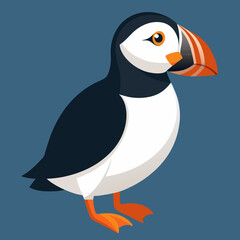 penguin on the beach atlantic puffin