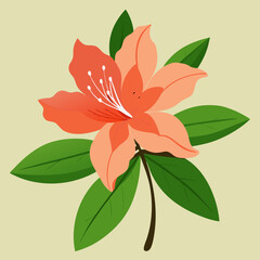 vector illustration of a flower azalea