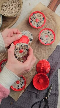 DIY Winter, Vogelfutter selber machen, Dekoration im Winter basteln, V&ouml;gel f&uuml;ttern