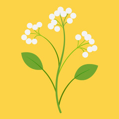 vector illustration of a flower baby breath