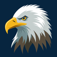 american bald eagle