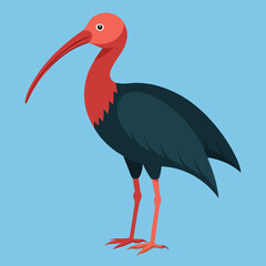 stork on a branch bald ibis