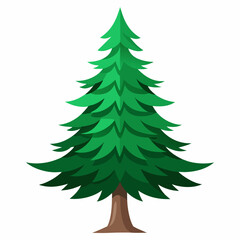 fir tree vector illustration