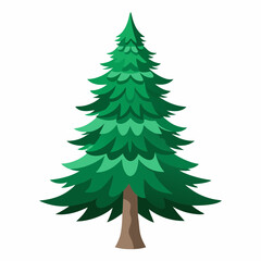 fir tree vector illustration