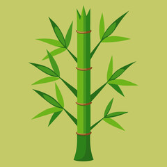 bamboo tree vector