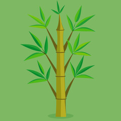 bamboo tree vector
