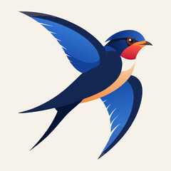 barn swallow bird vector illustration