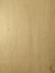 Wood texture background, wood planks, grunge wood, painted wooden wall pattern, light beige color wood floor