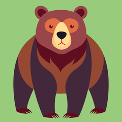 brown bear cub