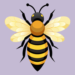 bee cartoon vector