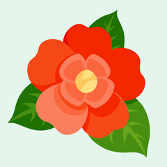 vector illustration of a red flower begonia