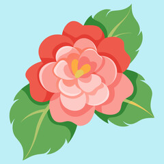 vector illustration of flowers begonia