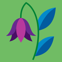 vector illustration of a flower bellflower