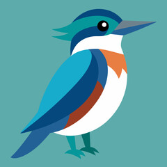 belted  kingfisher bird on a branch