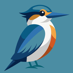 belted  kingfisher bird on a branch