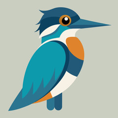 belted  kingfisher bird on a branch