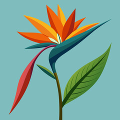 vector illustration of a flower