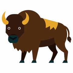 bisonvector illustration