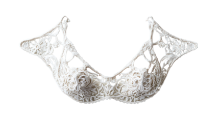 Elegant white lace bra with intricate patterns, beautifully designed, isolated on a white background, perfect for fashion and lingerie showcases.