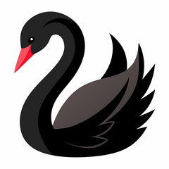 black swan vector