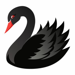 black swan vector