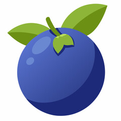 blueberry isolated on white background