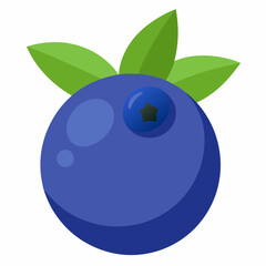 blueberry isolated on white background