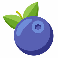 blueberry isolated on white background