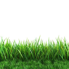 Obraz premium Lush green grass border isolated on transparent background perfect for design projects nature elements spring summer foliage greenery meadow lawn texture background image