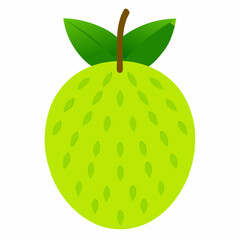 breadfruit vector illustration