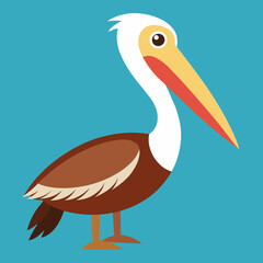 illustration of a brown pelican