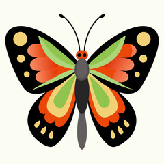 butterfly vector illustration