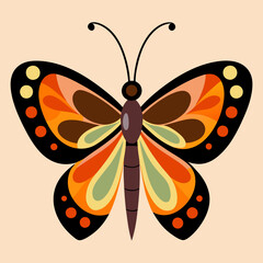 butterfly vector illustration
