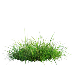 Lush green grass isolated on transparent background perfect for design projects nature elements greenery spring summer foliage meadow lawn turf vegetation