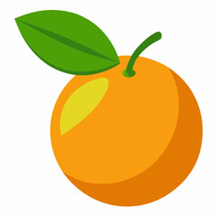 calamansi fruit vector illustration