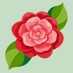 camellia flower on a white background