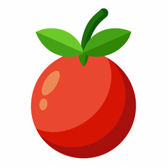 camu fruit vector illustration
