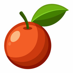 camu fruit vector illustration