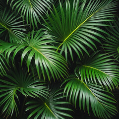 Lush Green Tropical Palm Leaves Background Image