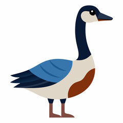 Canada  goose vector