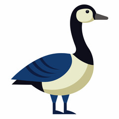 Canada  goose vector