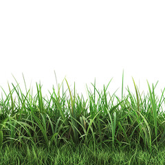 Lush green grass border isolated on transparent background perfect for design projects nature elements spring summer greenery foliage meadow lawn texture