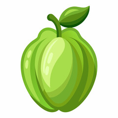vector illustration of an chayote
