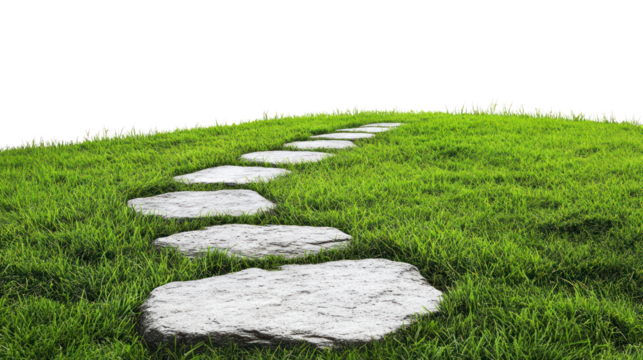 A tranquil pathway of stepping stones on lush green grass, inviting viewers to imagine a peaceful outdoor journey.