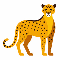 giraffe cartoon isolated on white cheetah